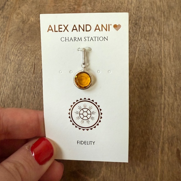 NWT Alex and Ani November Birthstone Topaz Swarovski Crystal Charm Station - Picture 1 of 2